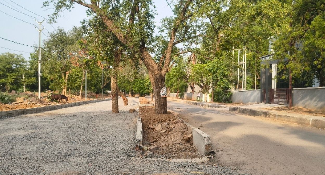 naidunia_image